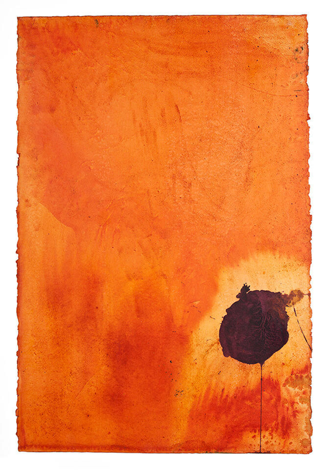 ACHIOTE papel 19.jpg